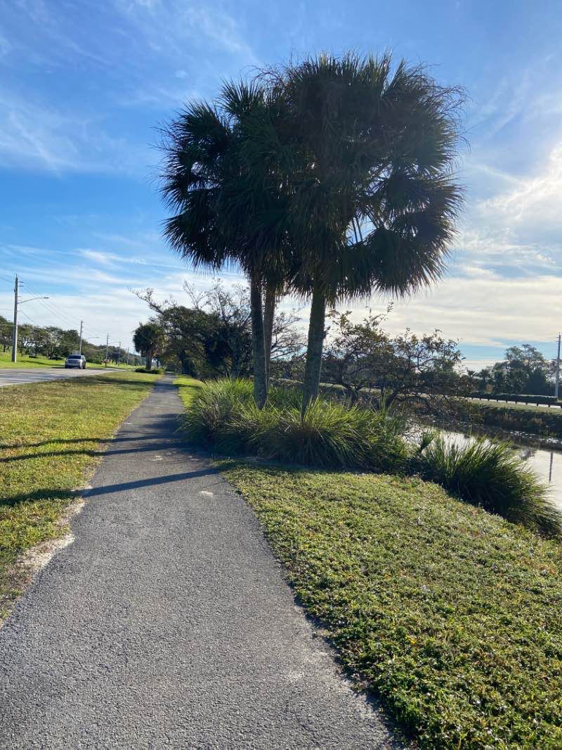 walking near me in Orange Drive Linear Park in winter