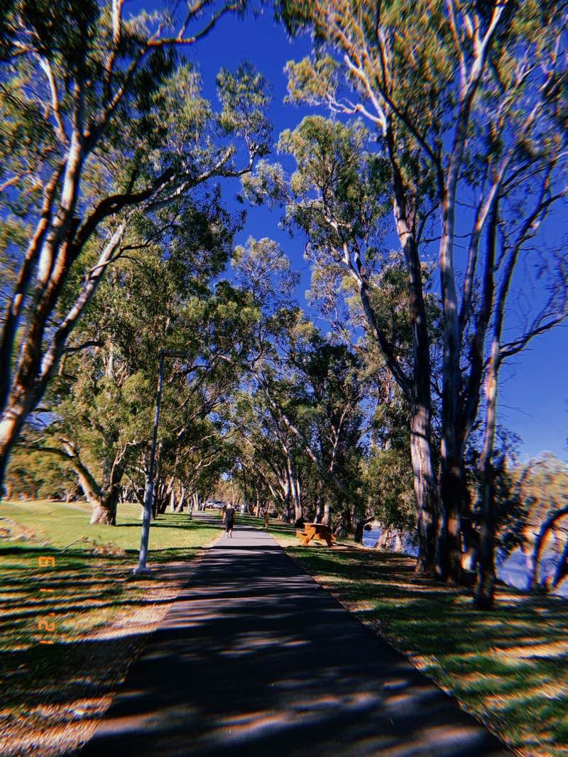 walking near me in George Lay Park in summer
