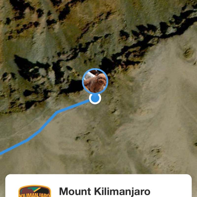 文妮🇲🇾92 post 2