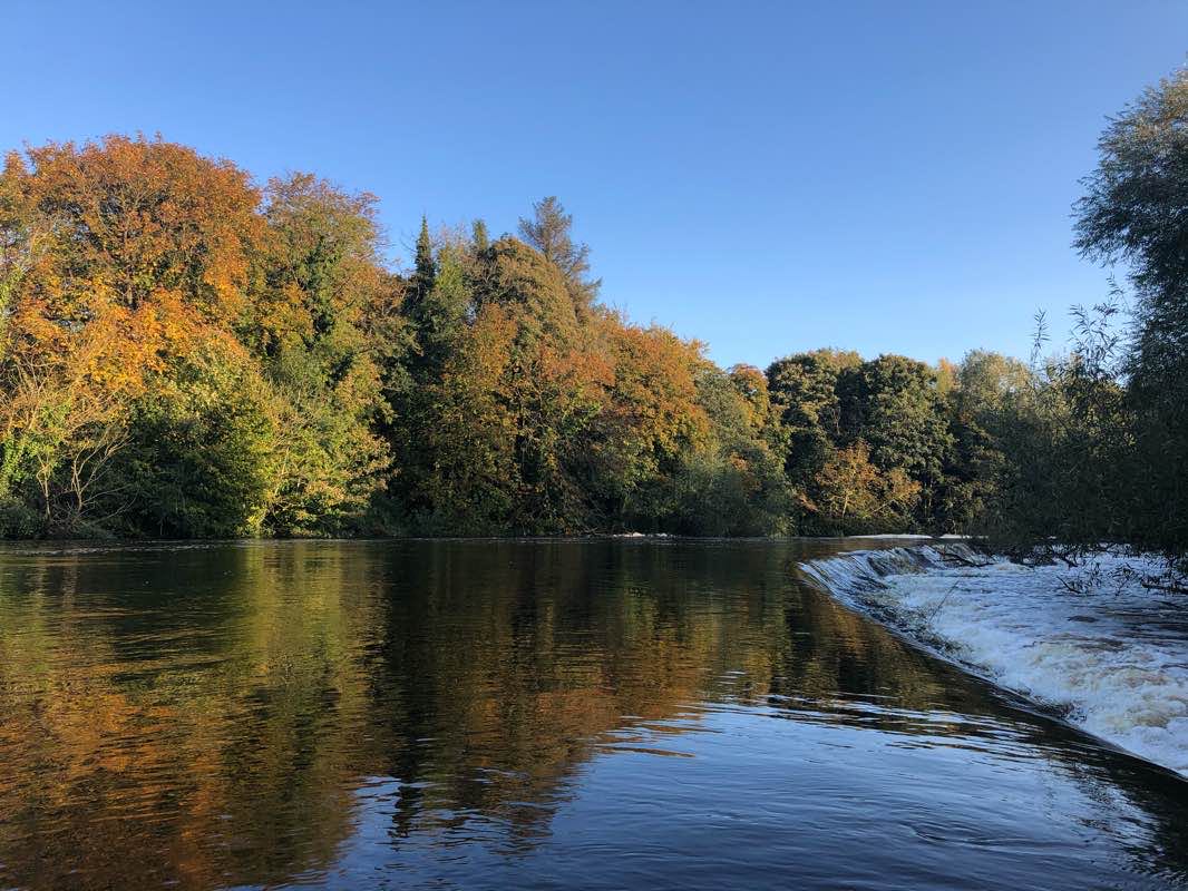 walking near me in Nore Linear Park in winter