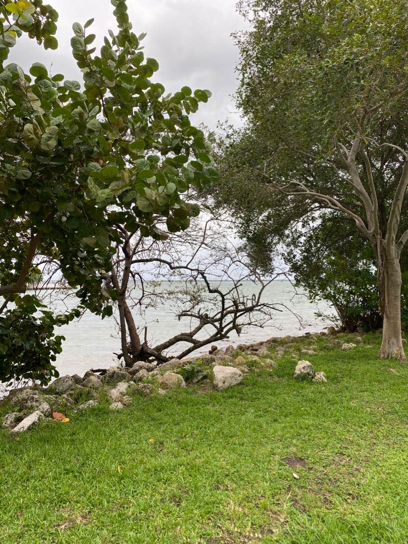 walking near me in Margaret Pace Park in winter