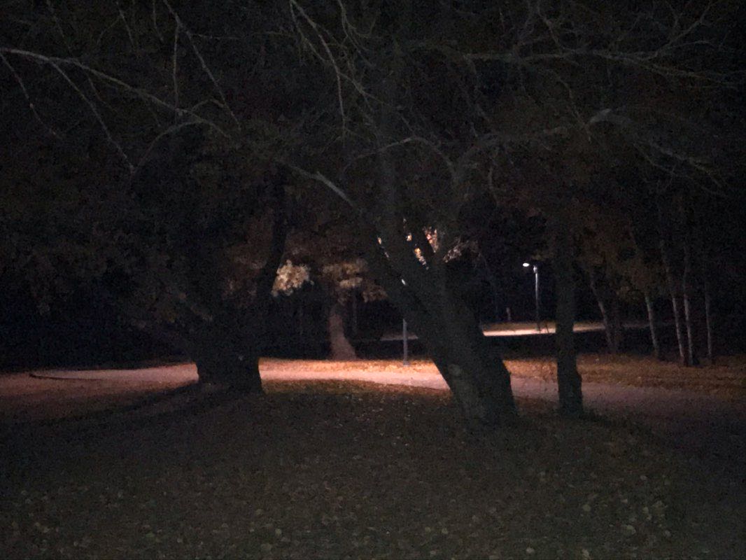 walking near me in Falcon Beach Park in winter