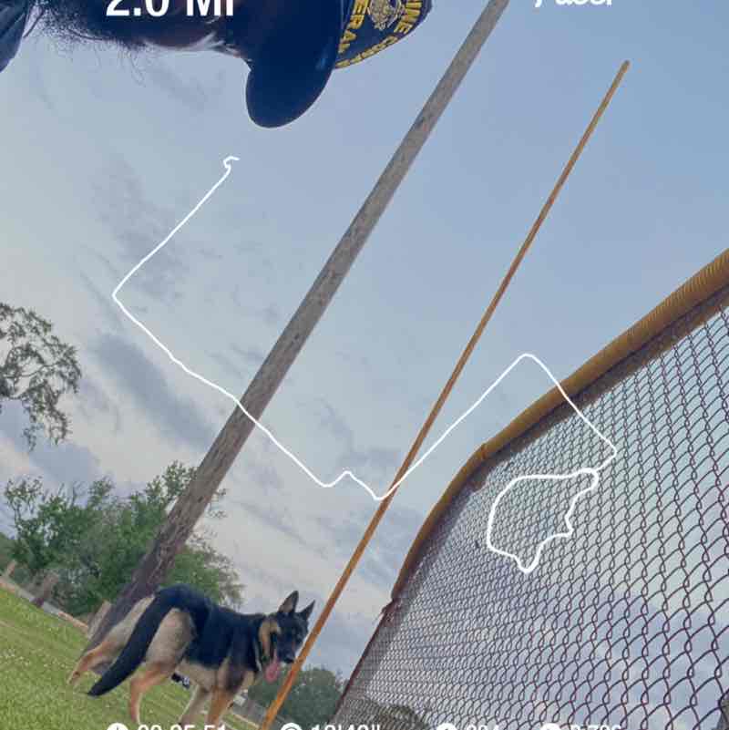 Joshua Theriot post 1