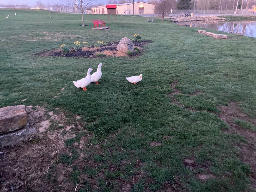 walking near me in J. W. Denver Williams Memorial Park in winter