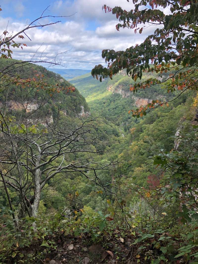 walking near me in Cloudland Canyon State Park in winter