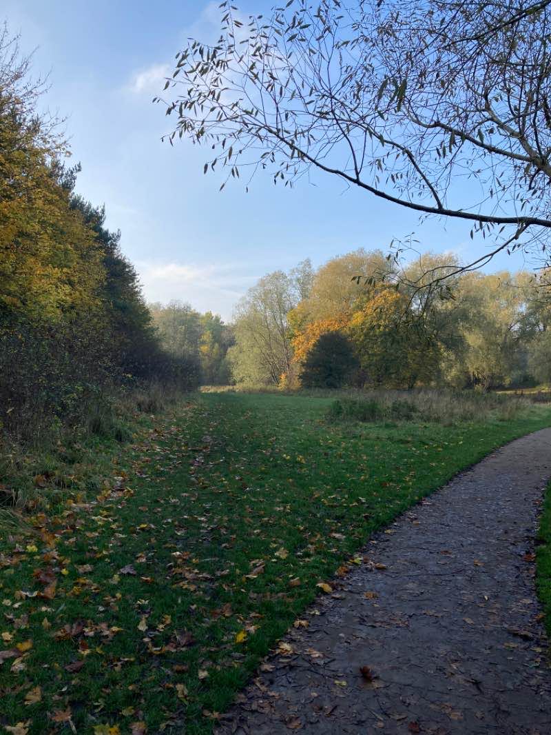walking near me in Springfield Park in winter