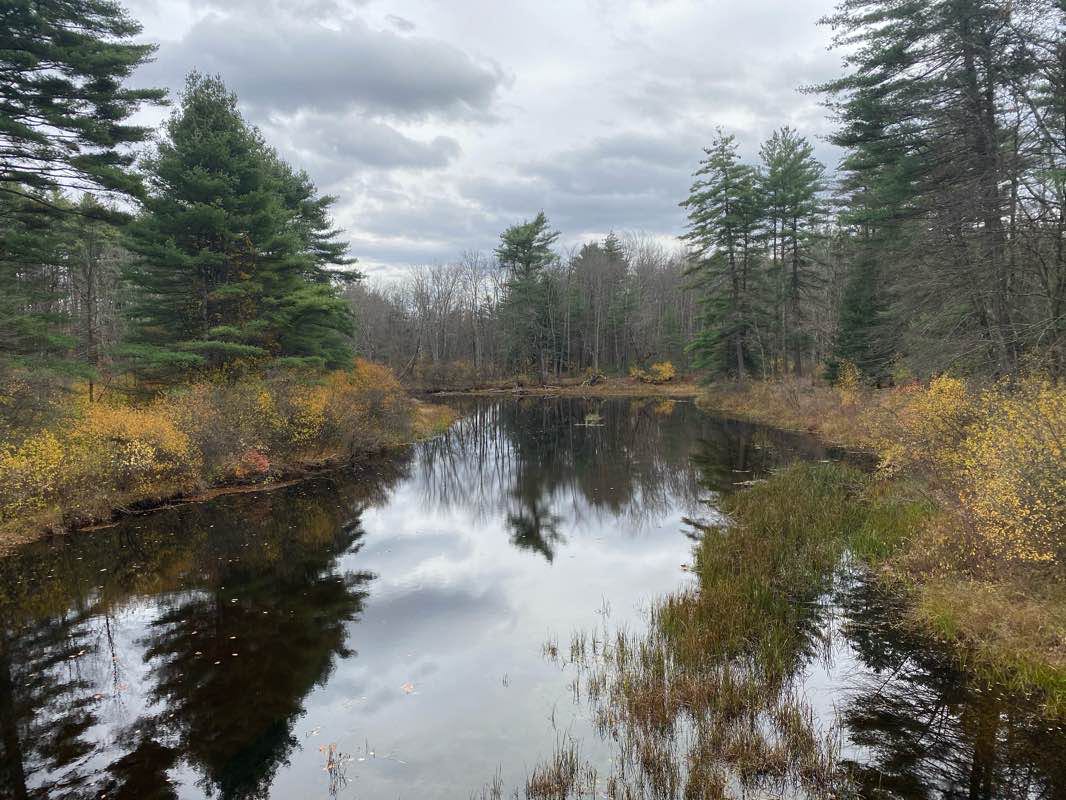 walking near me in Wheelock Park in winter