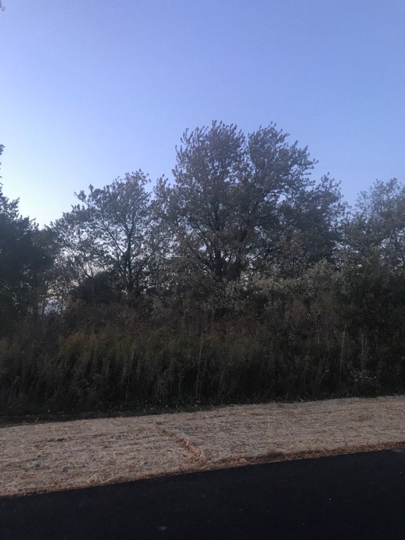 walking near me in Centennial Park in winter