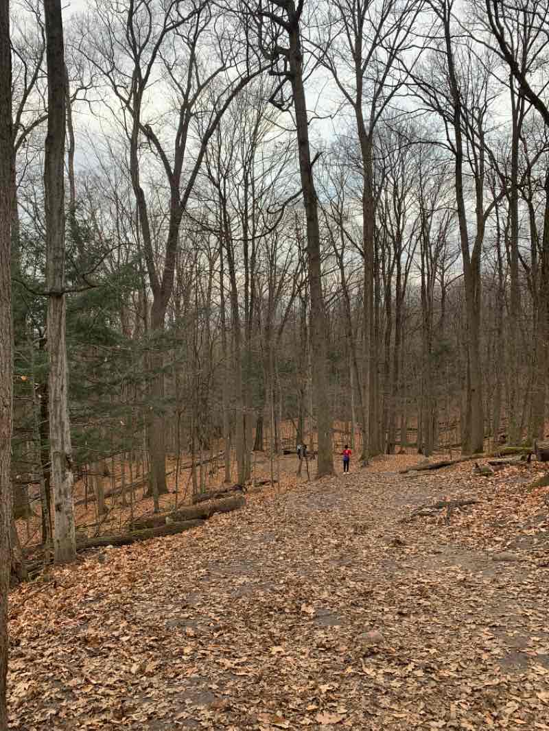 walking near me in Thornton Bales Conservation Area (99 Steps) in winter