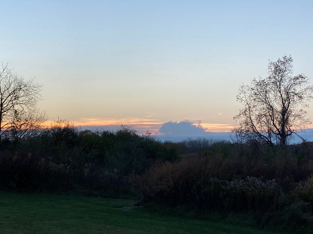 walking near me in Semmel Road Park in winter