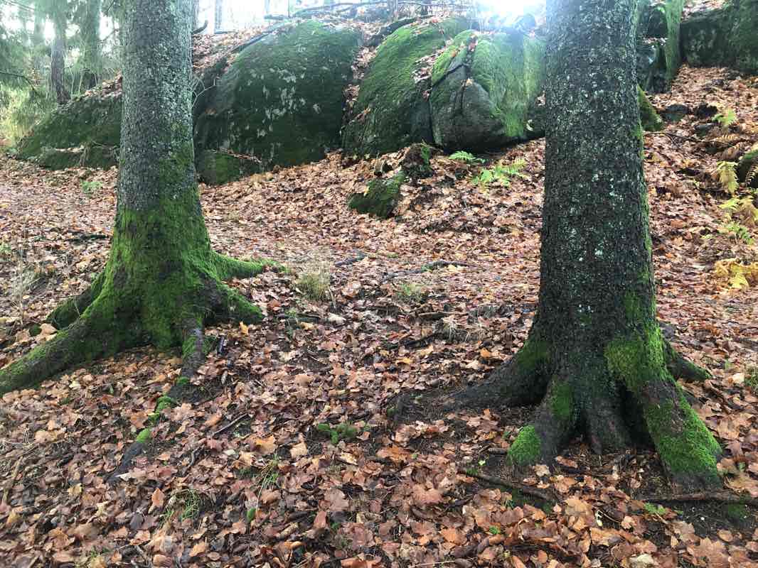 walking near me in Midtåsen in winter