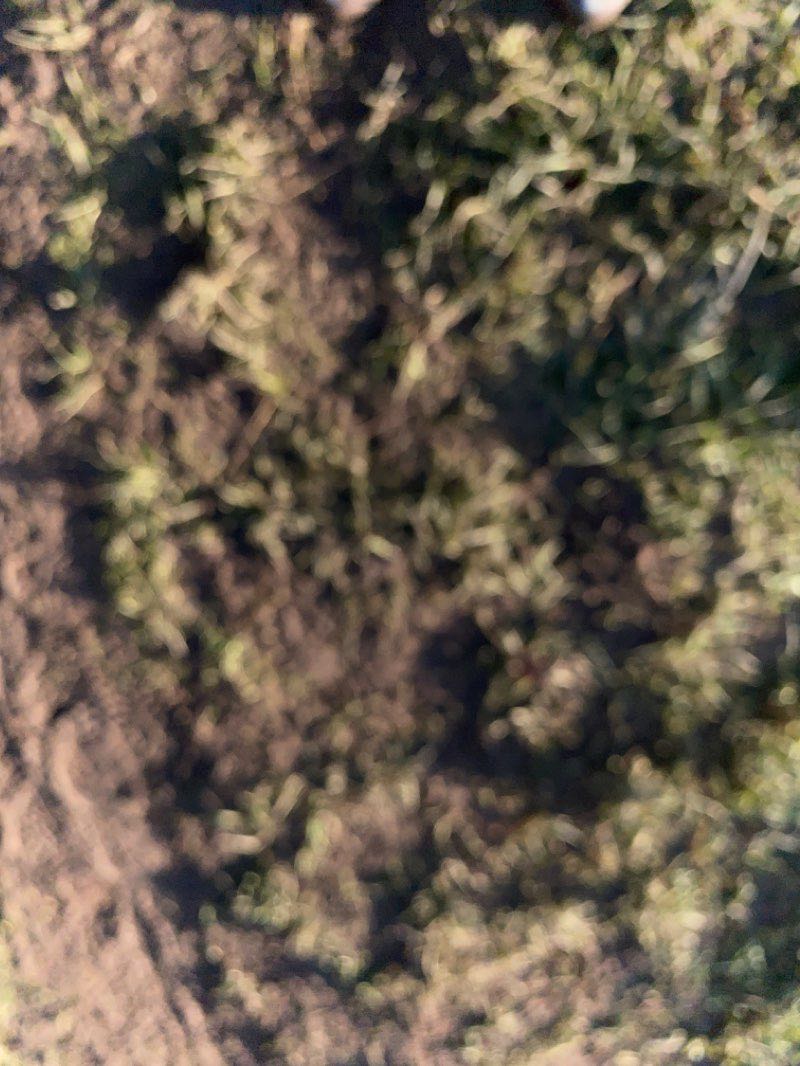 walking near me in Ashton Park in winter