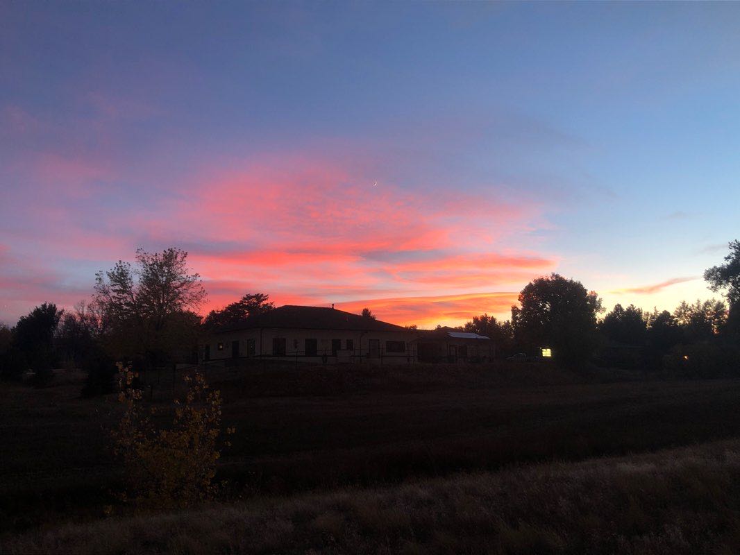 walking near me in Arvada Volunteer Fire Fighters Park in winter