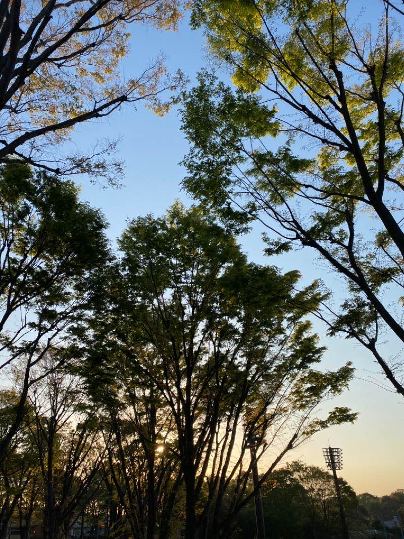 walking near me in Ryonan Park in winter