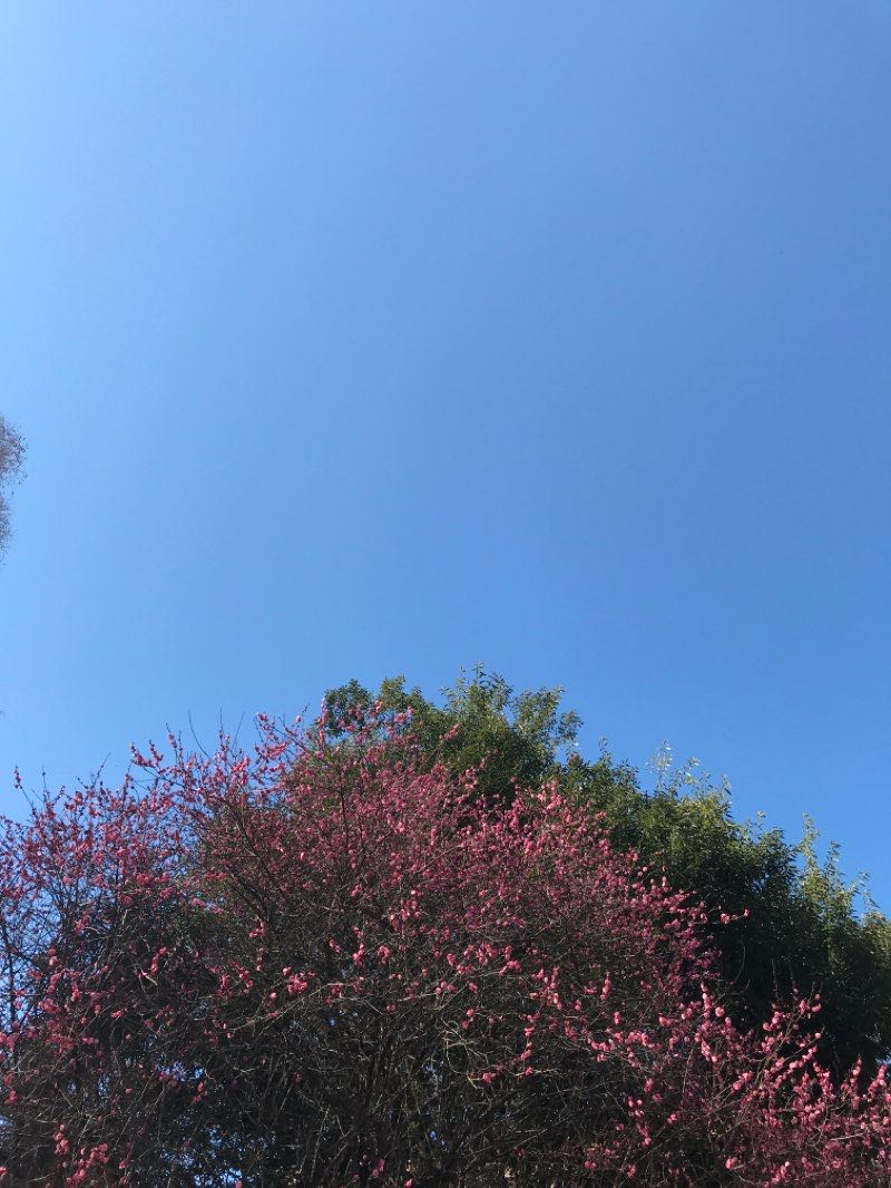 walking near me in Hazama Park in winter