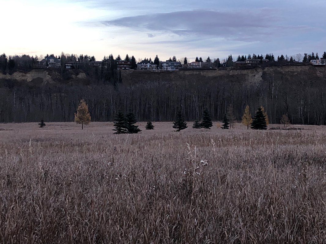 walking near me in Terwillegar Park in winter