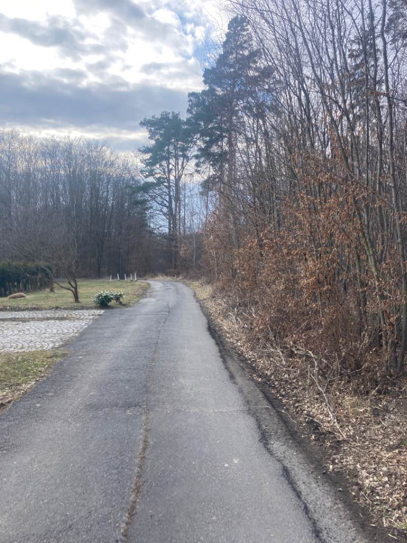 walking near me in Centrální park Jižní svahy in winter