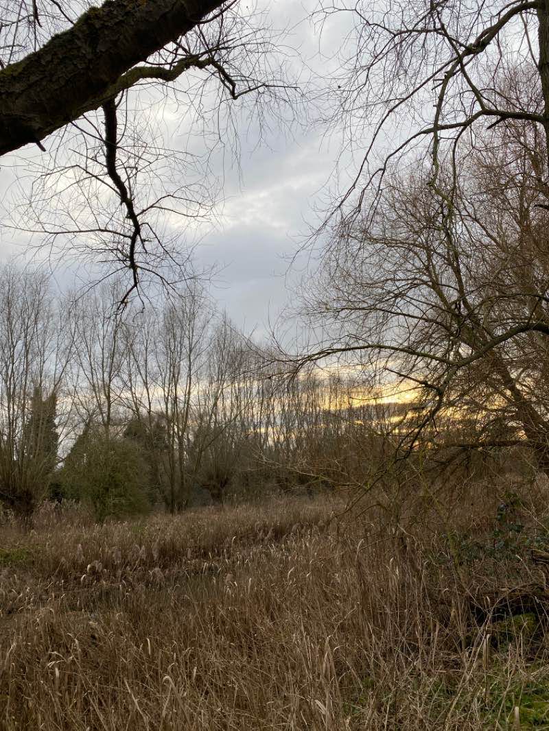 walking near me in Wildlife Haven in winter