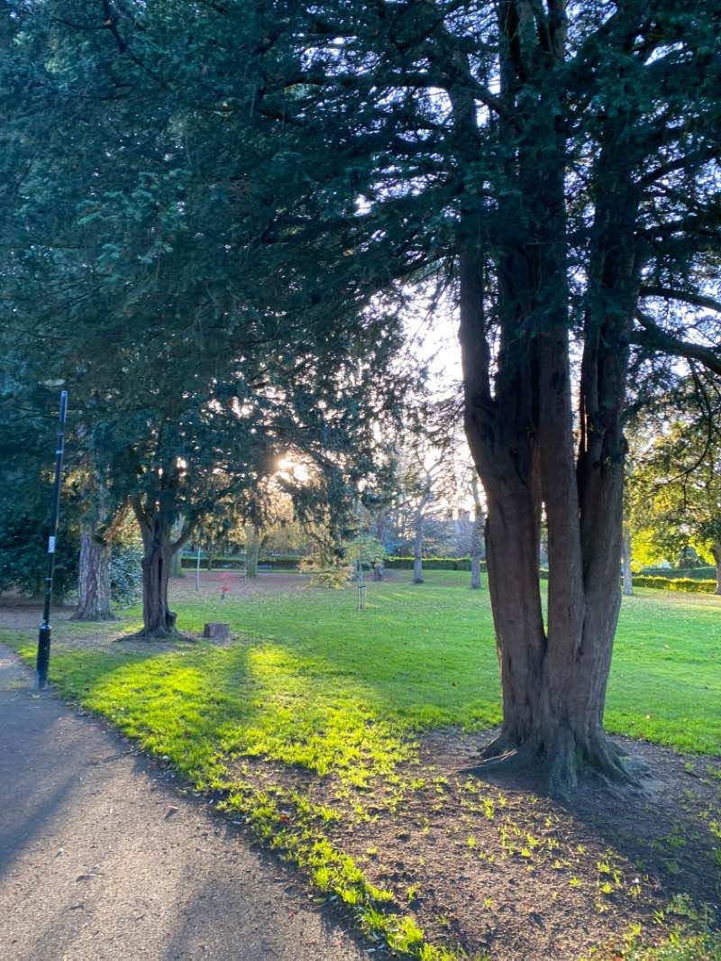 walking near me in Central Park in winter