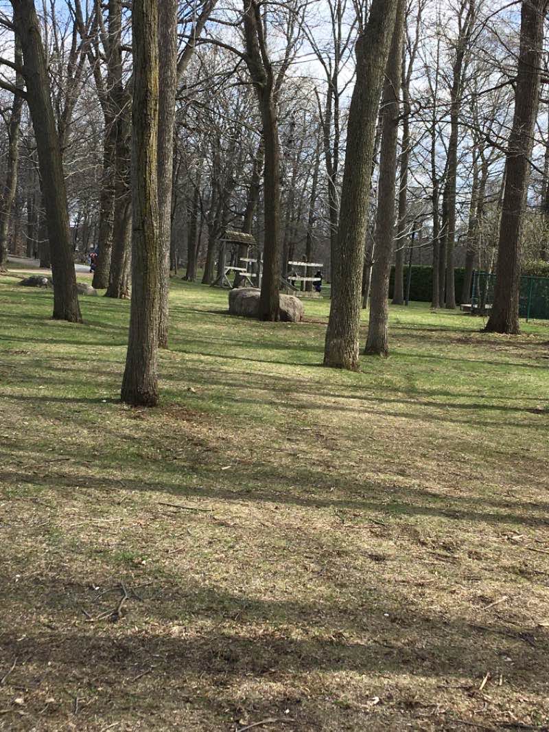 walking near me in Parc de la Pointe de l'Ile in winter