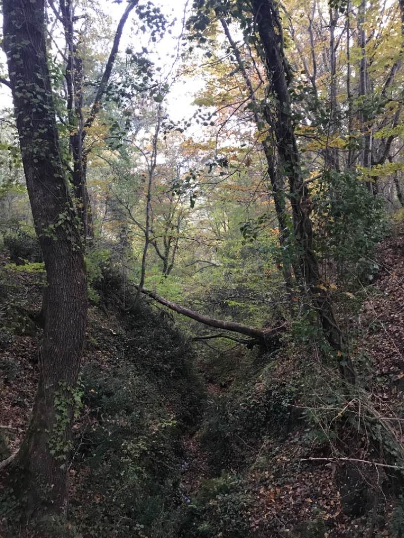 walking near me in Parc du barrage de Miquelou in winter