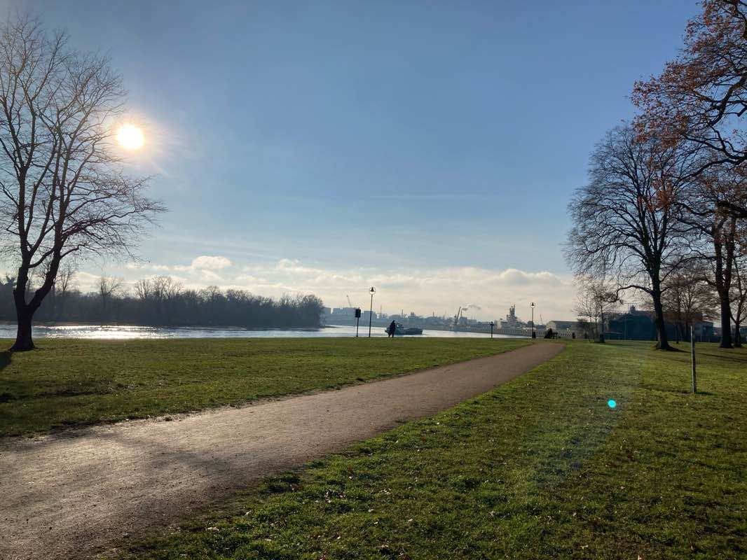 walking near me in Stadtpark Parkinsel in winter