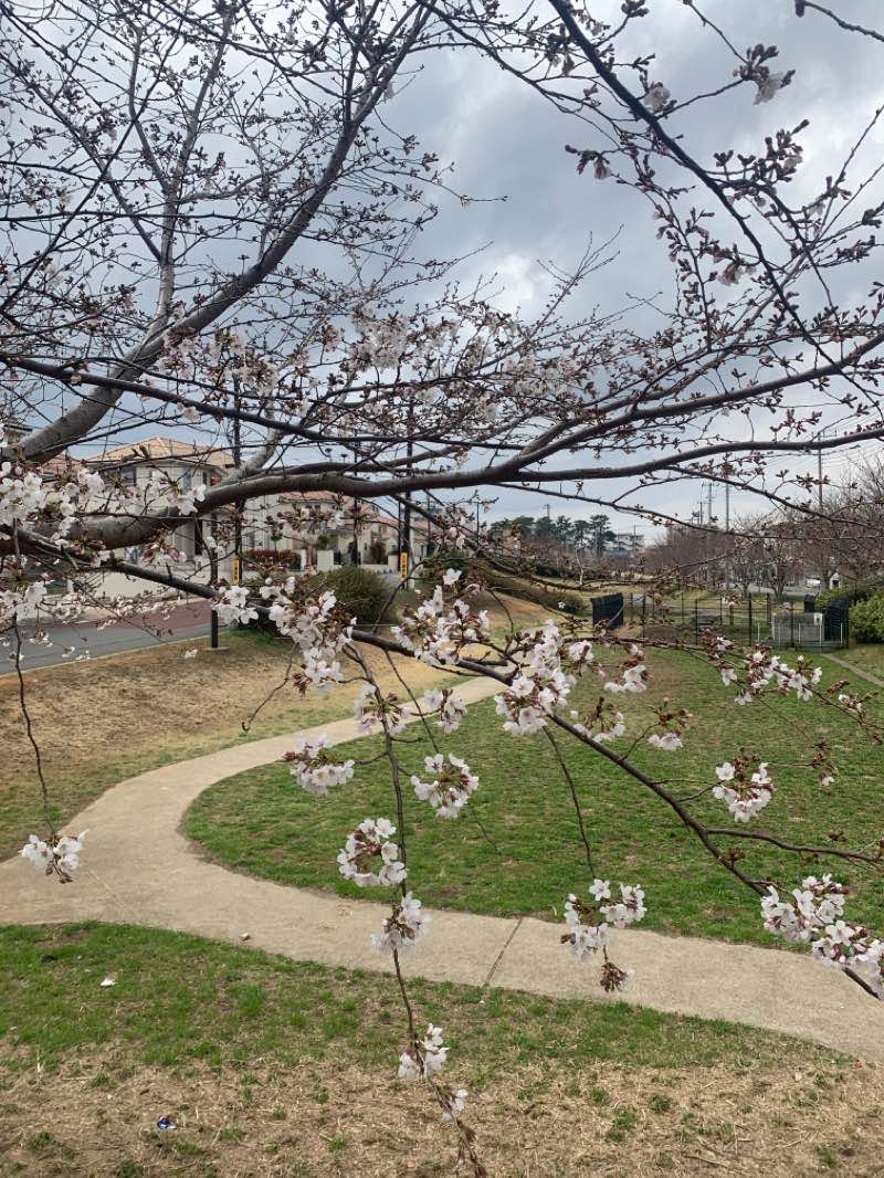 walking near me in Takanekido Daisango Park in winter