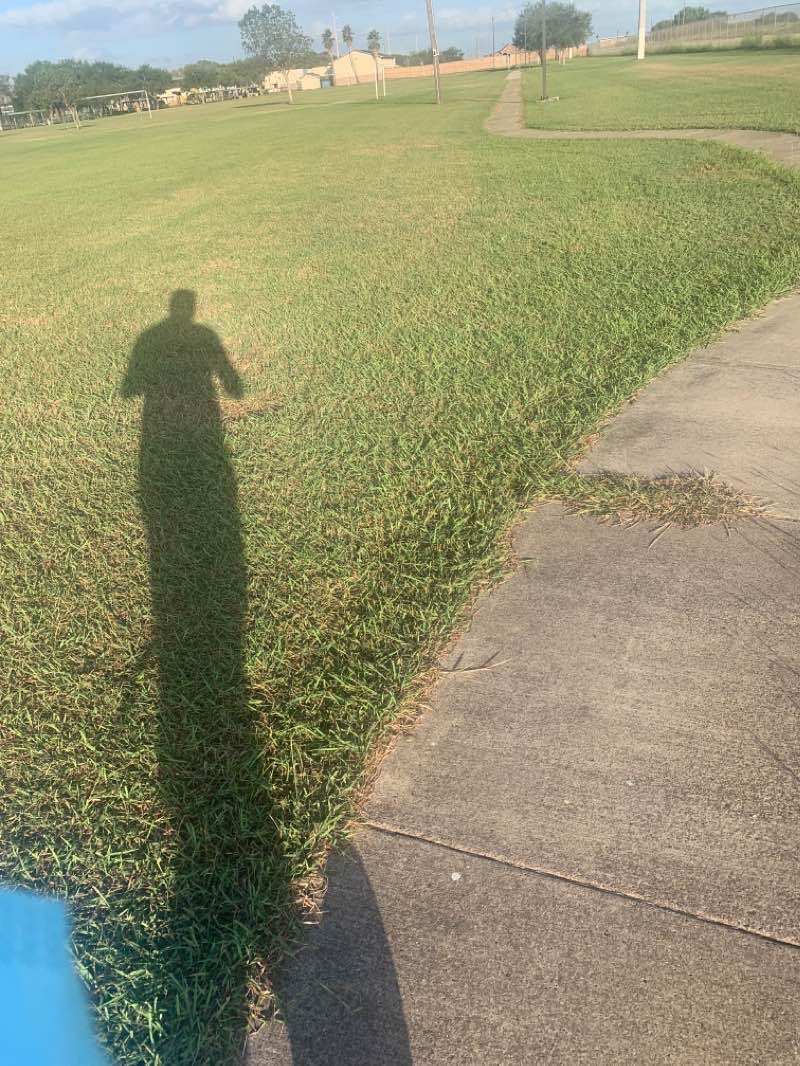 walking near me in Combes Community Park in winter