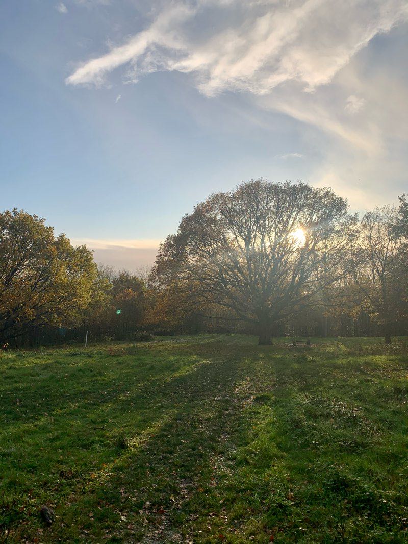walking near me in Horsenden Hill Open Space in winter
