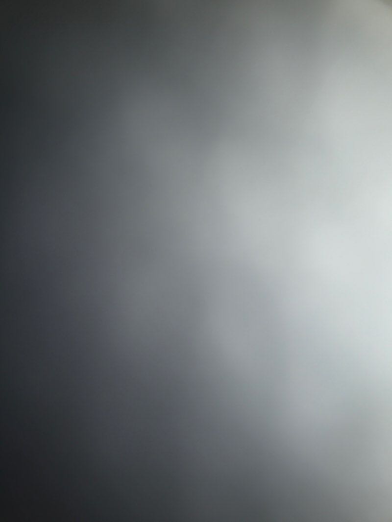 walking near me in Azalea Park in winter