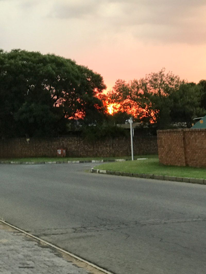walking near me in Beverley Park in summer
