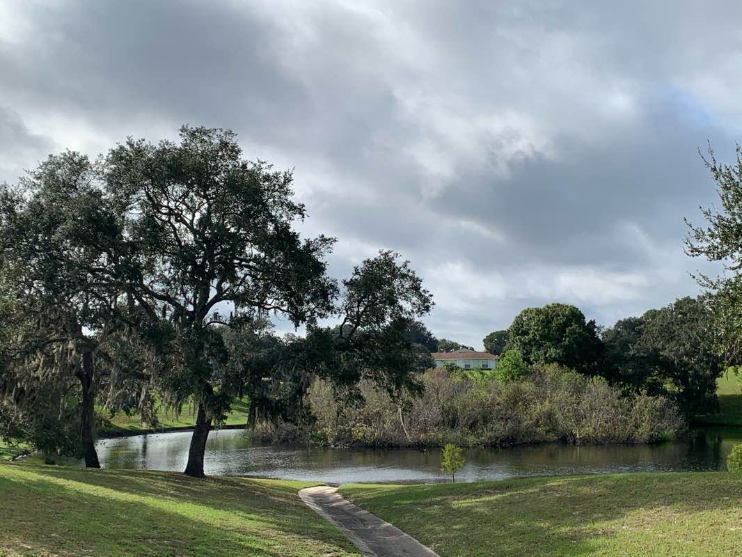 walking near me in Timber Oaks Civic Associations in winter