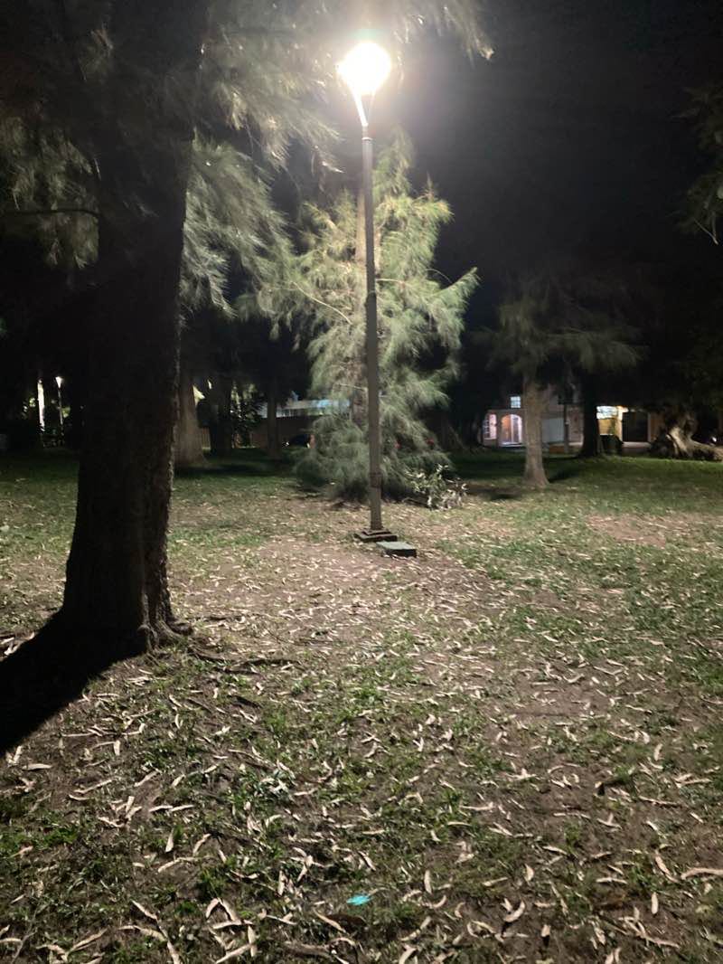 walking near me in Parque La Loma in winter