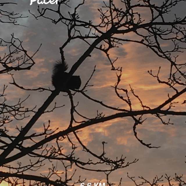Anna post 1
