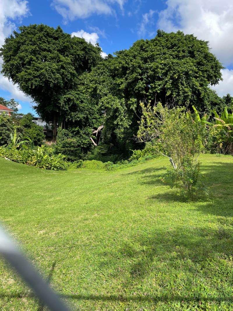 walking near me in Parque Fraigcomar in winter