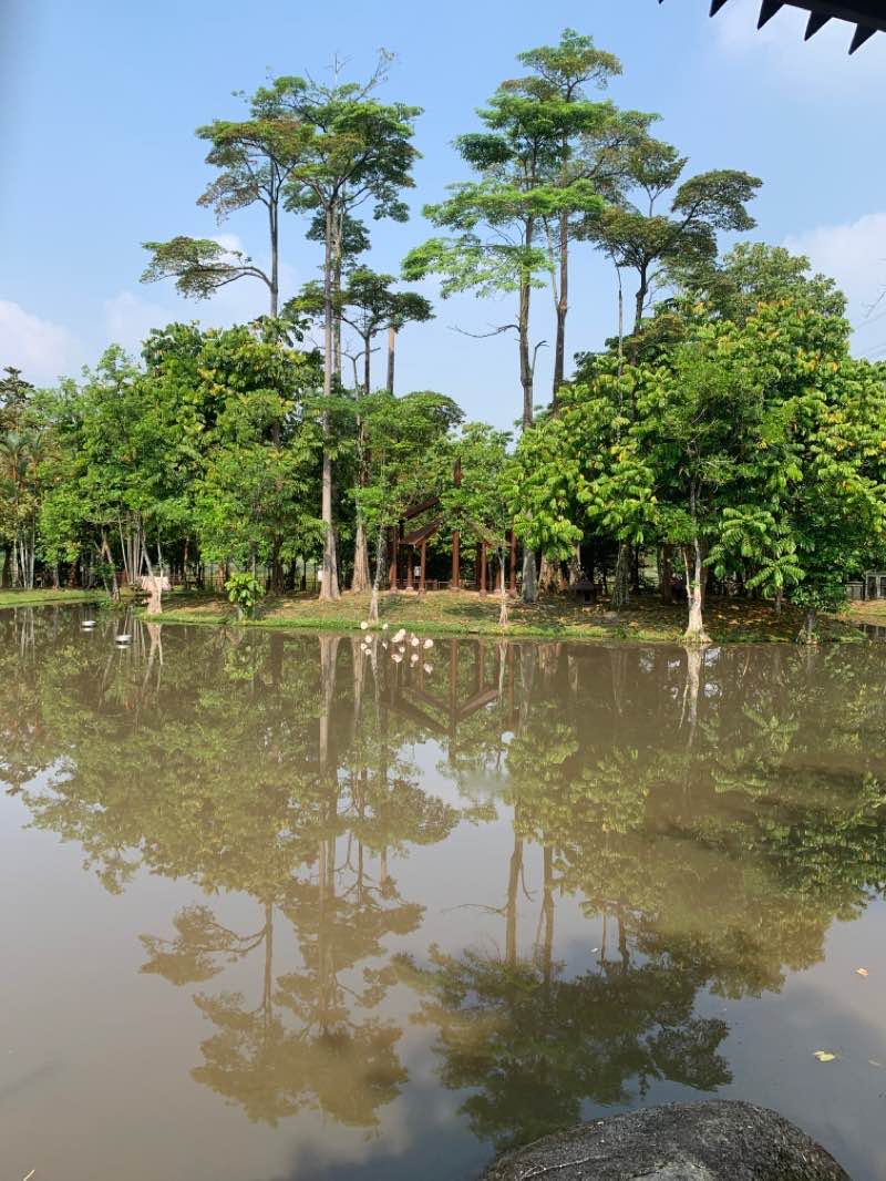 walking near me in Taman Seri Empangan in winter