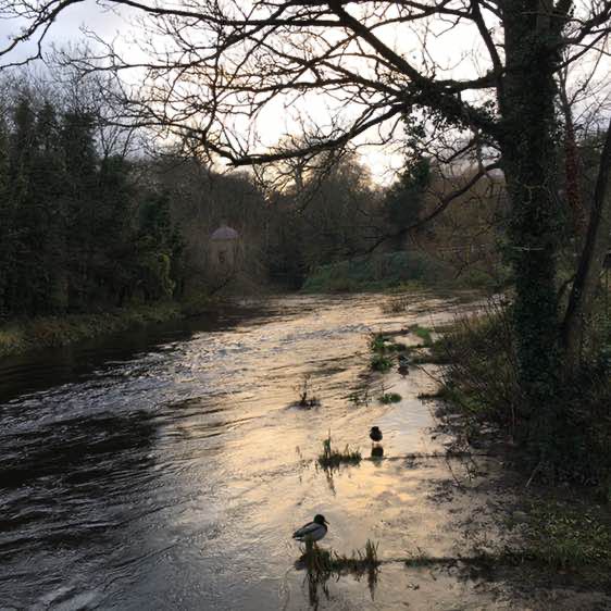 israel.reguera post 1