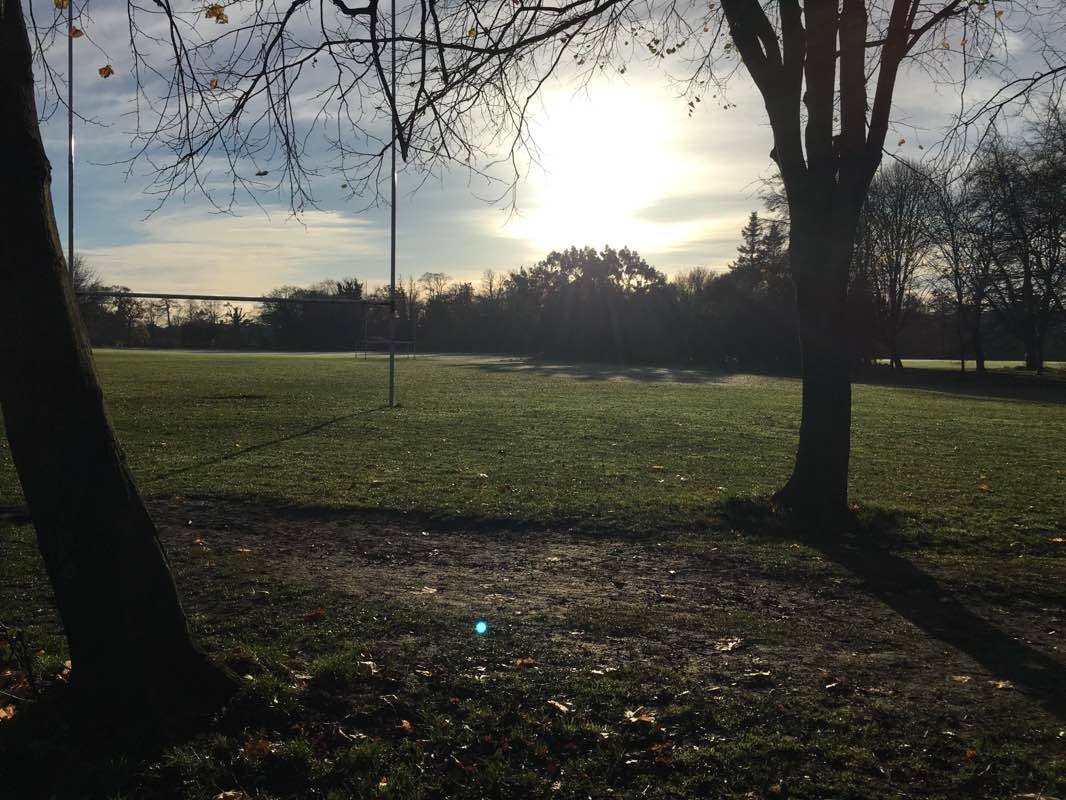 walking near me in Bushy Park in winter