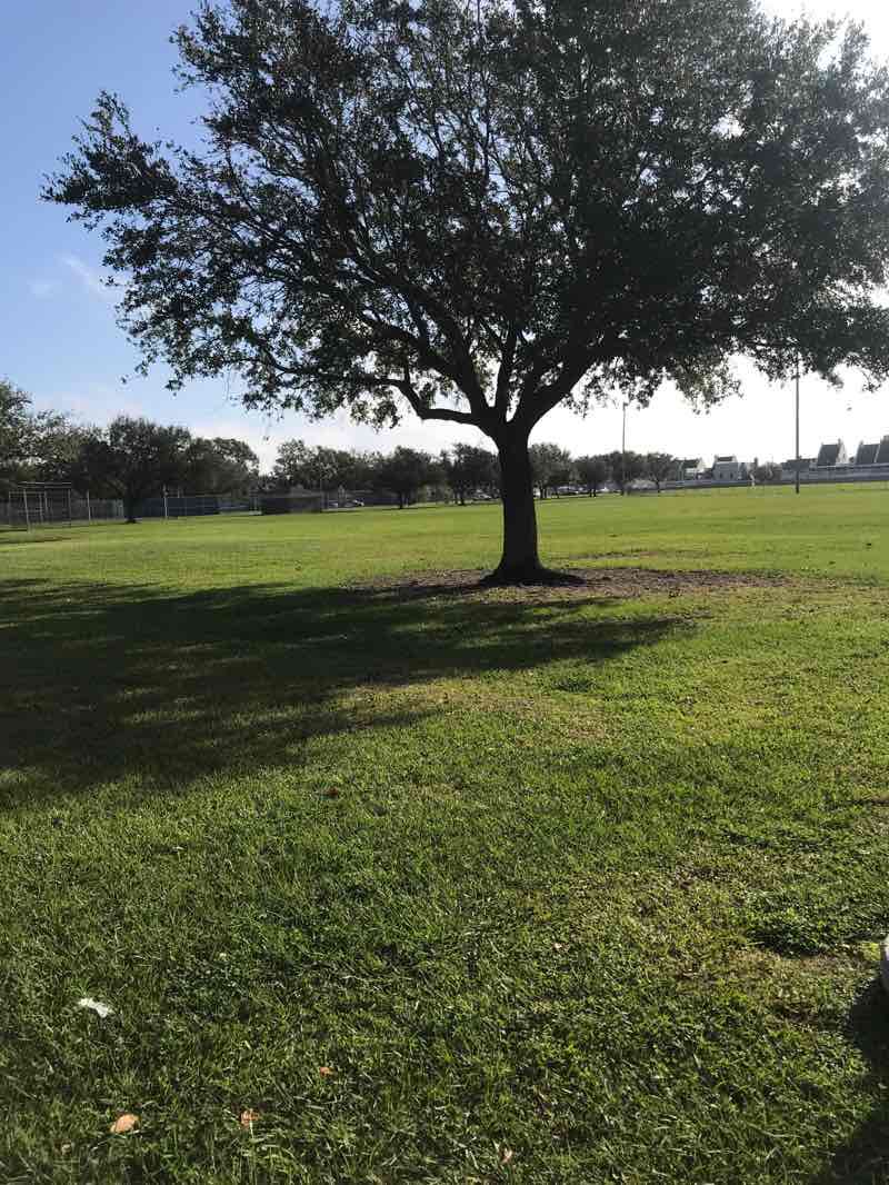 walking near me in C Doornbos Park in winter