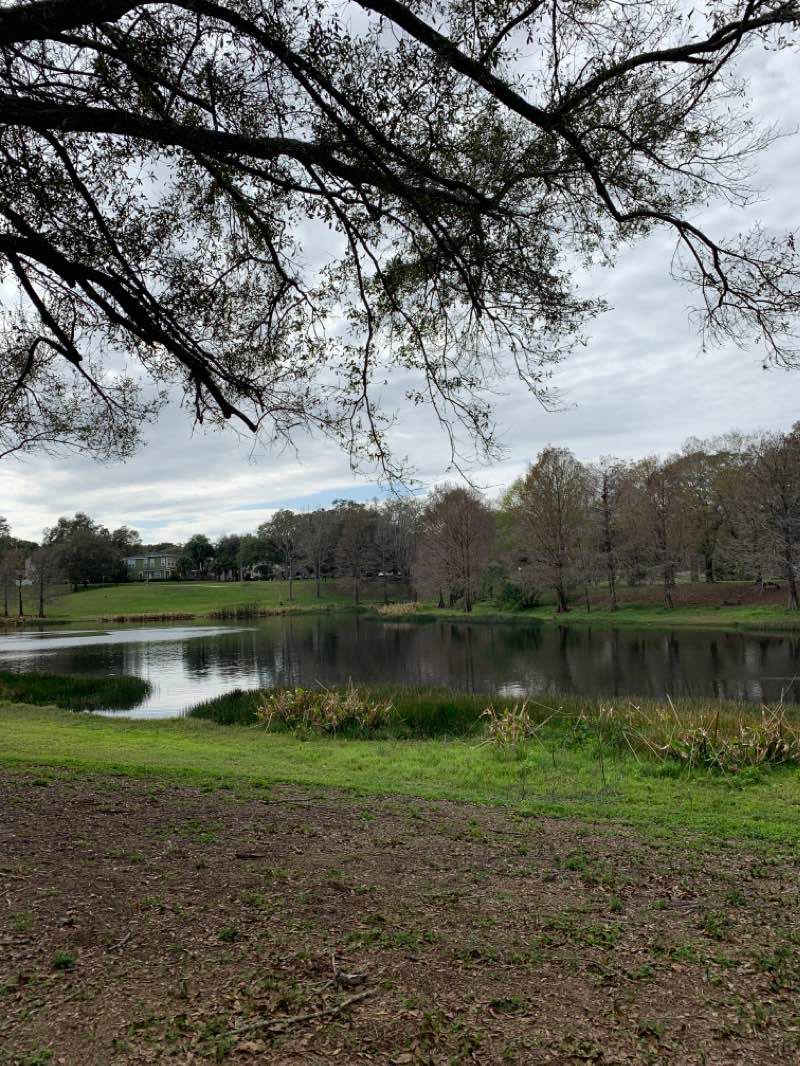 walking near me in Greenwood Urban Wetlands in winter