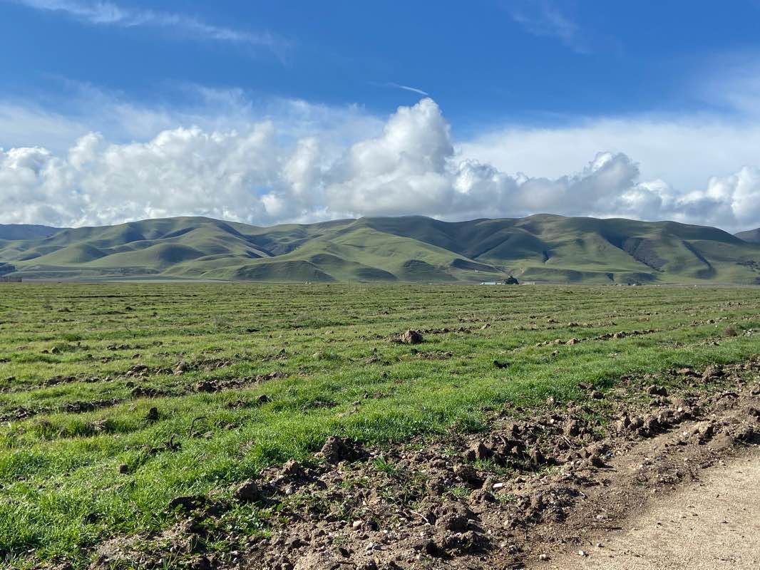 walking near me in Park Greenfield in winter