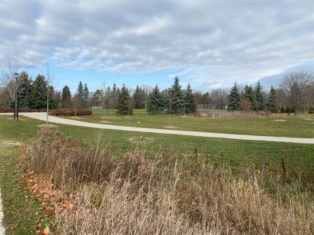walking near me in The Arboretum and Heritage Orchard in winter