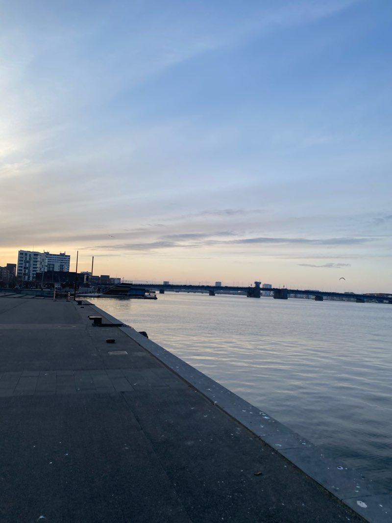 walking near me in Utzon Parken in winter
