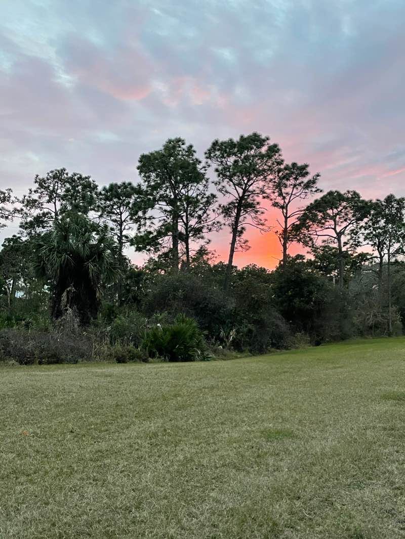 walking near me in UCF Lake Claire Recreation Area in winter