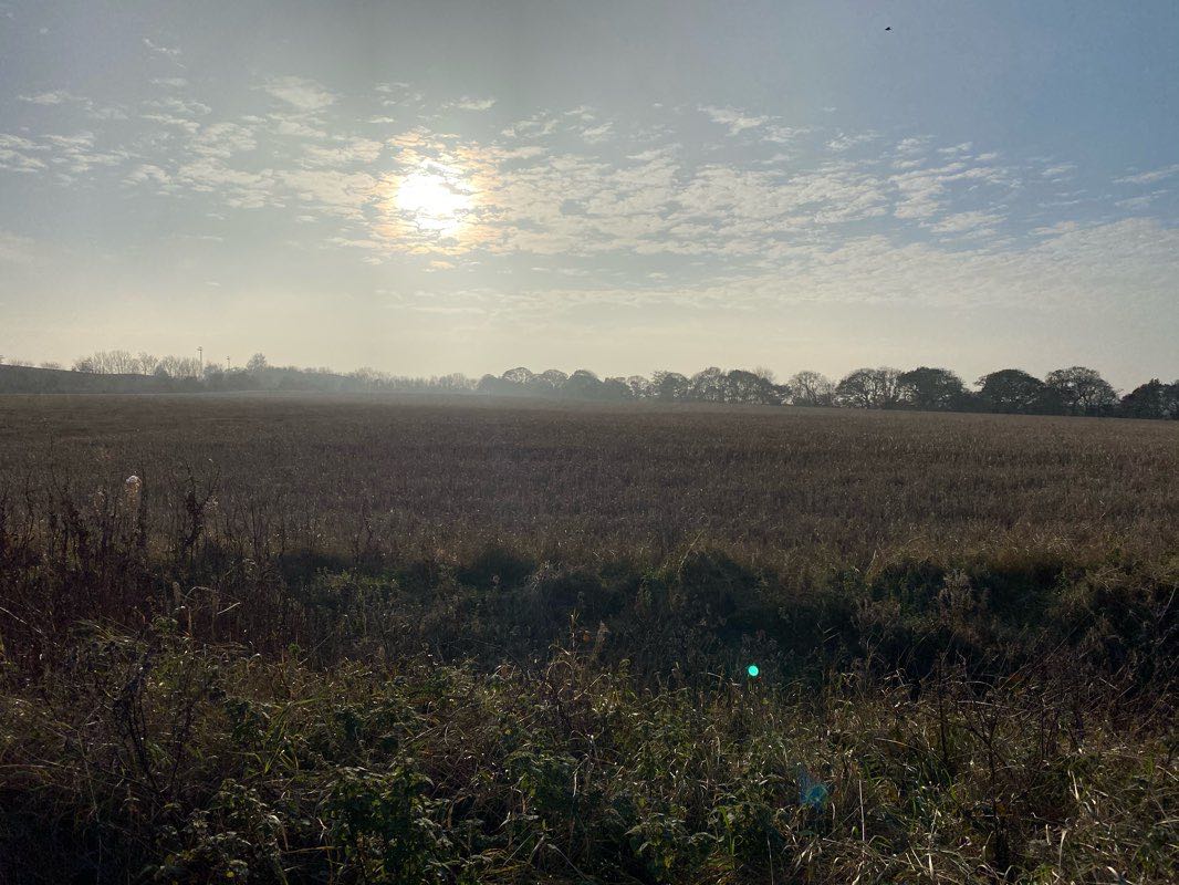 walking near me in Meadowfield in winter