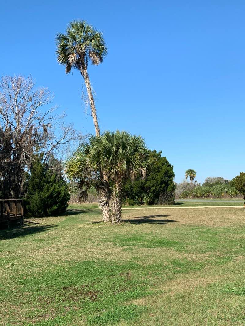 walking near me in Three Sisters Springs in winter