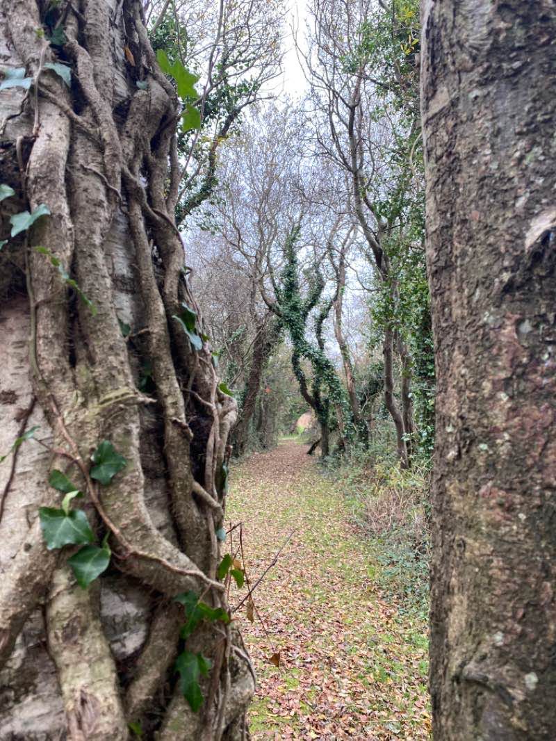 walking near me in East Coast Nature Reserve in winter