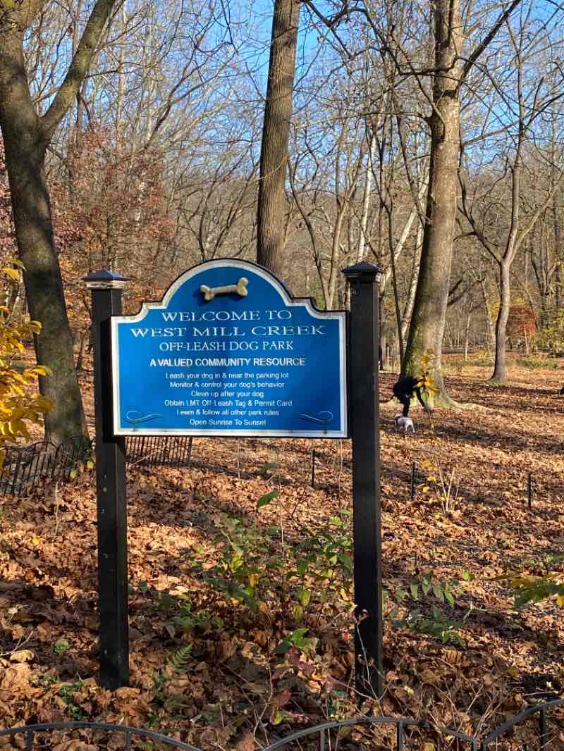 walking near me in West Mill Creek Park in winter