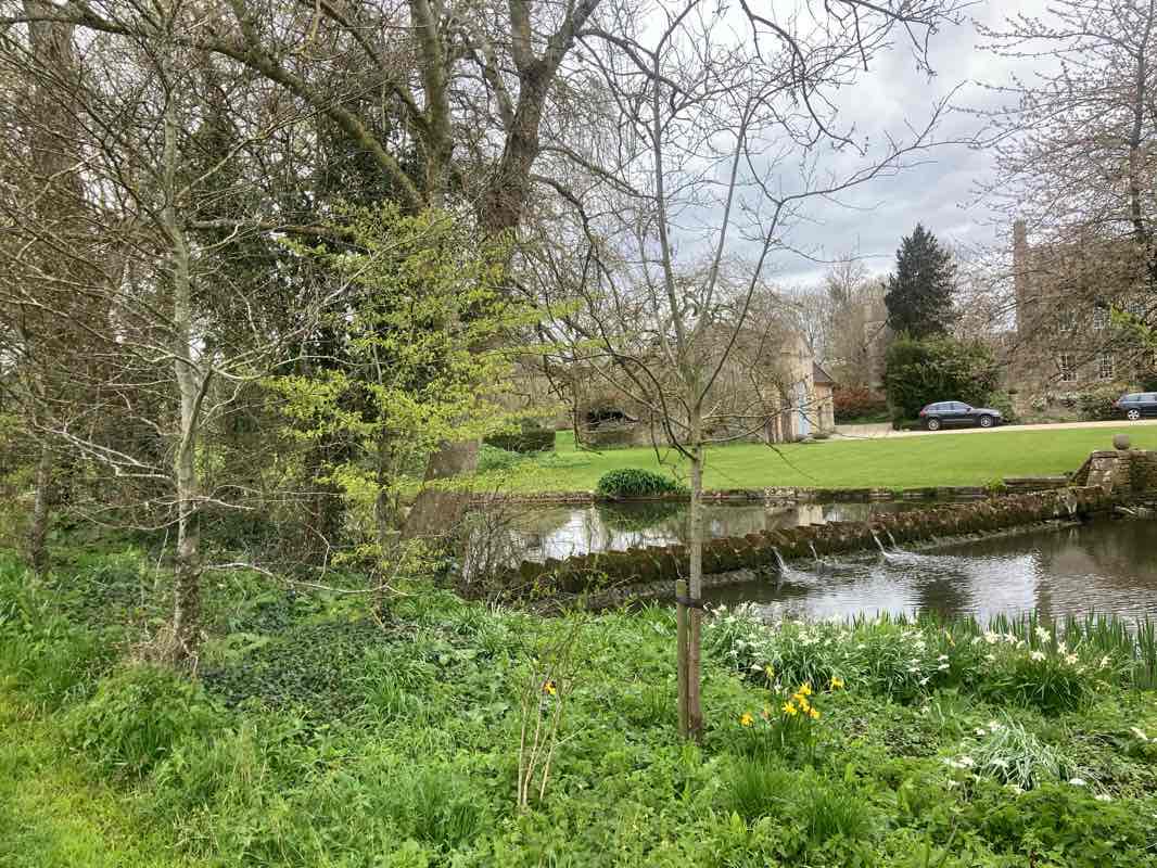 walking near me in Corsham Court in winter