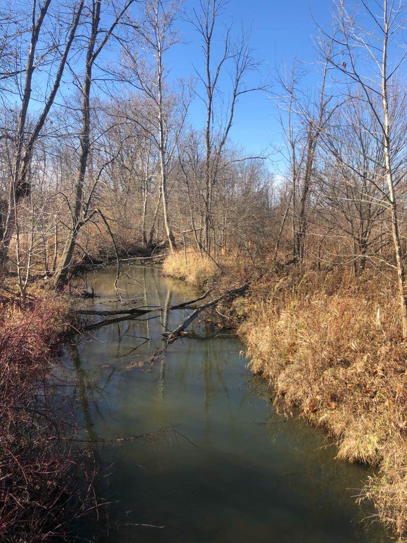 walking near me in Coffee Creek Watershed Preserve in winter